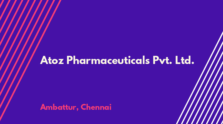 Garden Path And Walkway Pavers For Landscape In Chennai