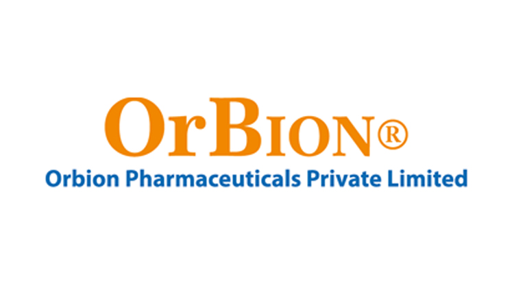 Garden Path And Walkway Pavers For Landscape In Chennai